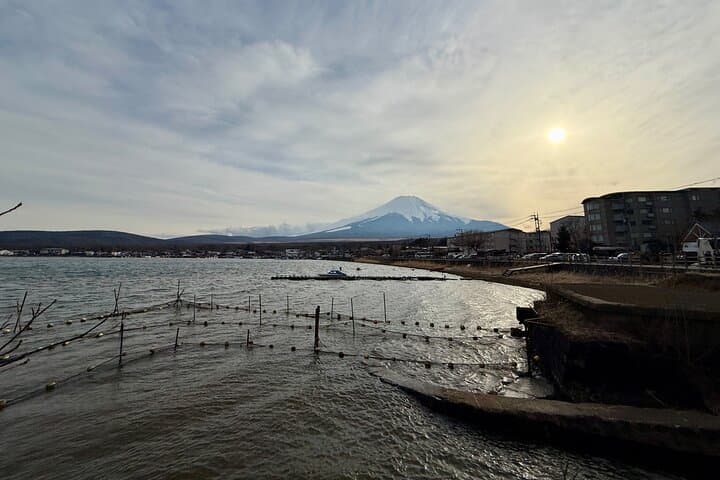 Tokyo: Customized Mt. Fuji & Hakone Sightseeing Private Day Trip — photo 12