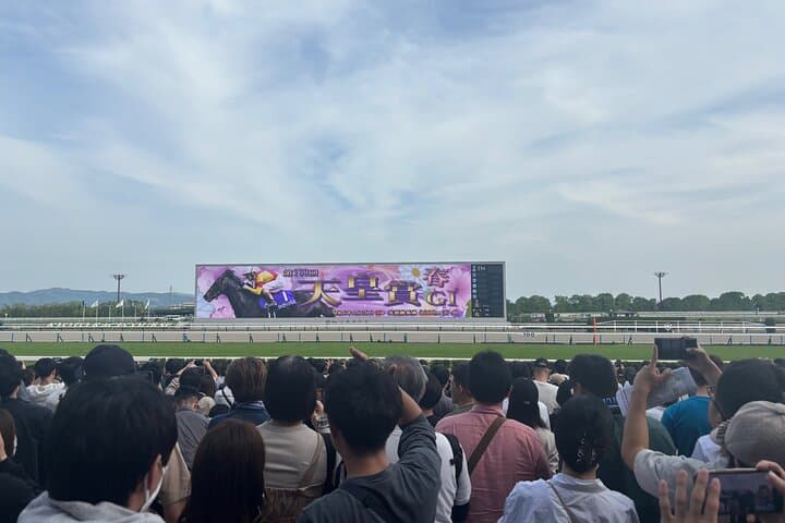 Horse Racing Tour with Local Fans in Tokyo Racecourse — photo 18