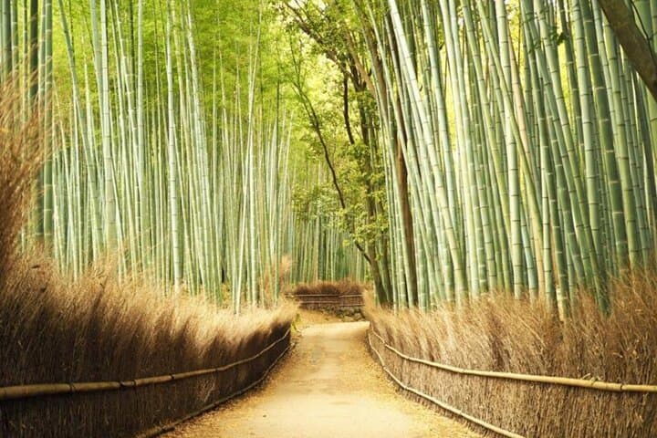 A trip to Kyoto and Osaka in one day — photo 2