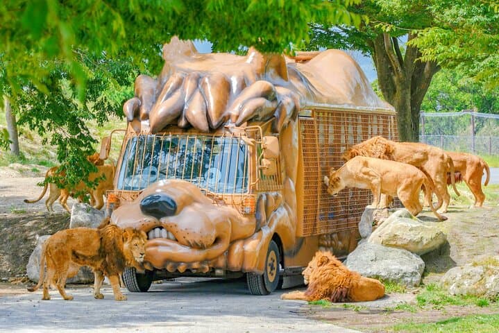 Yufuin Kyushu Wildlife Park Beppu Jigoku Day Tour from Fukuoka — photo 4