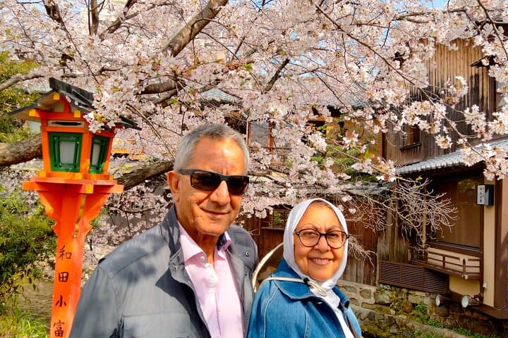 Kyoto Private Tour with National Licensed Guide — photo 4