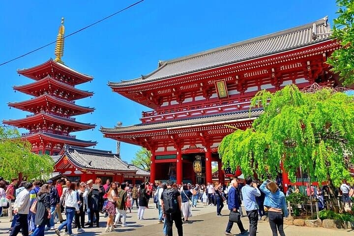 Explore Tokyo’s History on Foot Asakusa Kappabashi and Ueno — photo 3