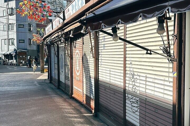 Explore Tokyo’s History on Foot Asakusa Kappabashi and Ueno — photo 11