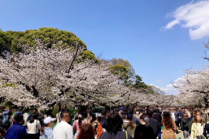 Explore Tokyo’s History on Foot Asakusa Kappabashi and Ueno — photo 16