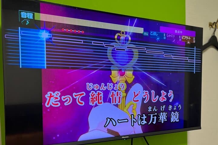 Karaoke Box Experience with a Professional Vocal Trainer — photo 8
