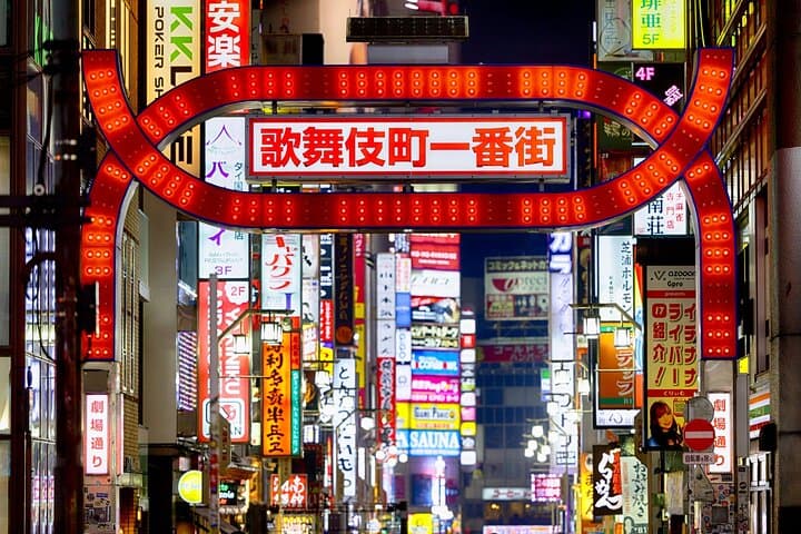 Tokyo After Dark Shinjuku Tour of Tradition and Pop Culture — photo 1