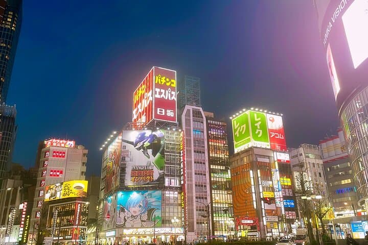 Tokyo After Dark Shinjuku Tour of Tradition and Pop Culture — photo 8