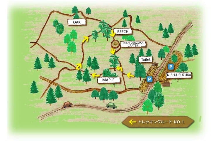 Fuji Forest Hiking 4 hr Tour with a Nature Guide with Transfer — photo 5