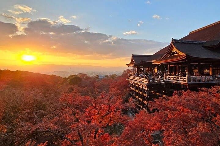 Explore Osaka Kyoto with Sightseeing Pass — photo 2