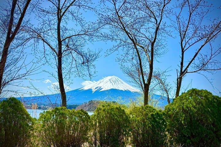 Tokyo: Customized Mt. Fuji & Hakone Sightseeing Private Day Trip — photo 13