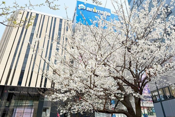 Ikebukuro Anime and Game Culture Experience Tour — photo 2