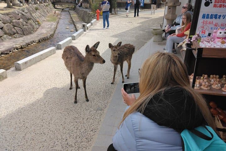 Hiroshima Cruise Pickup : Miyajima & Peace Park Tour with car — photo 20