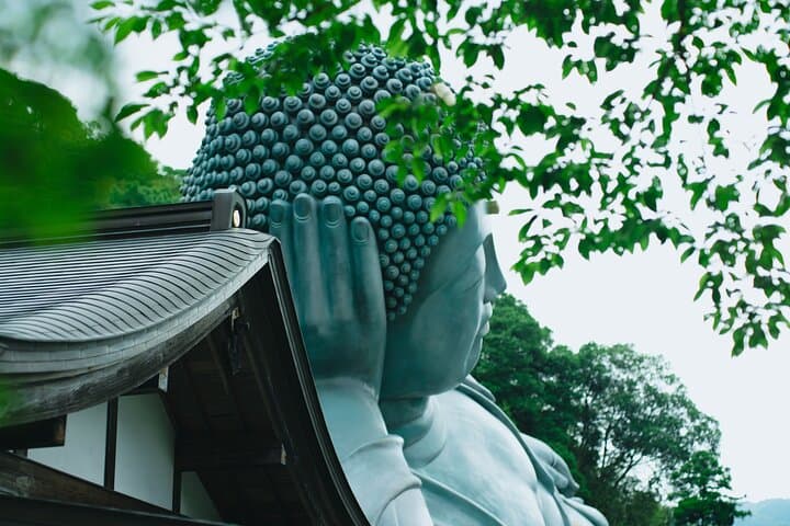 YokaBus Nanzoin Bronze Buddha, Itoshima Totoro Forest&Futamigaura — photo 3