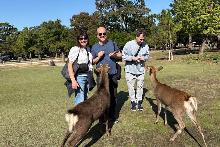 Nara Private Tour: Flexible Pickup from Kyoto, Osaka, or Nara — photo 6