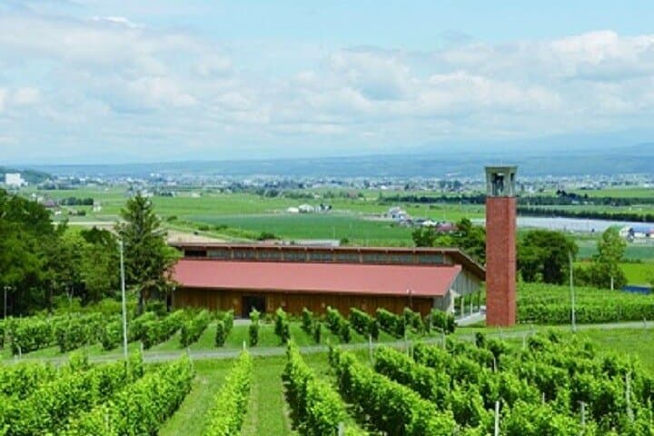 Hokkaido's Summer Highlights in 2 days — photo 5