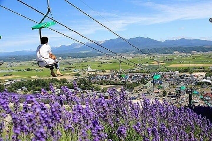 Hokkaido's Summer Highlights in 2 days — photo 7