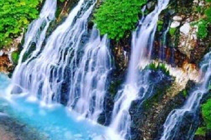Hokkaido's Summer Highlights in 2 days — photo 9