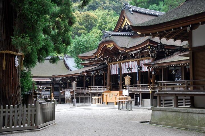 Kansai Railway Pass — photo 3