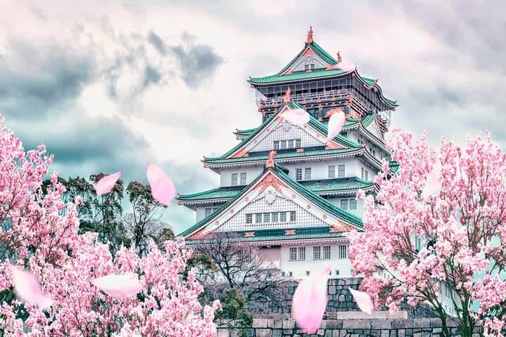 Osaka Castle Ticket — photo 3