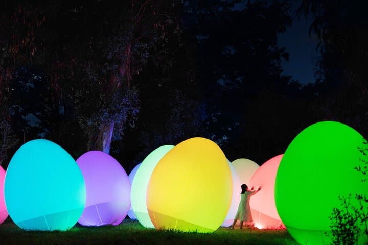 TeamLab Botanical Garden Osaka Ticket — photo 2