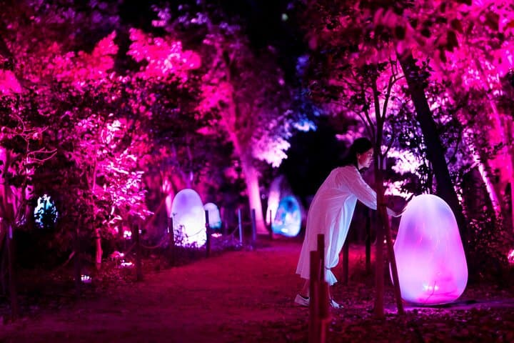 TeamLab Botanical Garden Osaka Ticket — photo 3