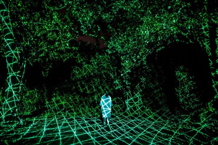 TeamLab Botanical Garden Osaka Ticket — photo 7
