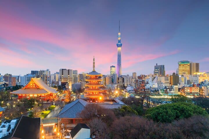 Tokyo Private Group Tour – Flexible Schedule and Stops — photo 1