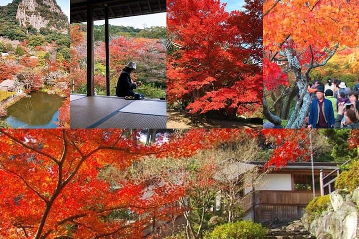 Day Tour to Yutoku Inari Shrine & Sachihime Sake Brewery| Fukuoka — photo 7