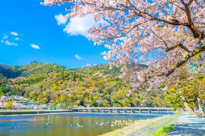 Kyoto Day Tour Kifune Shrine, Sanzen-in, Arashiyama & Yuzen Korin — photo 6