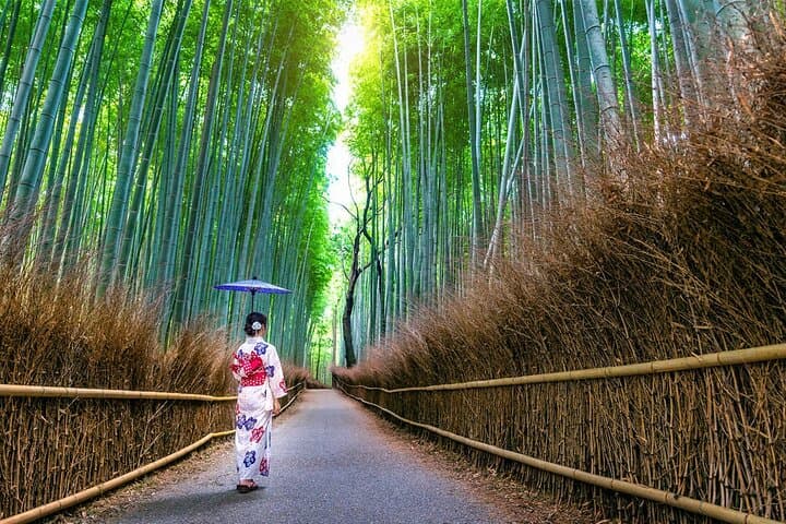 Kyoto Day Tour Kifune Shrine, Sanzen-in, Arashiyama & Yuzen Korin — photo 15