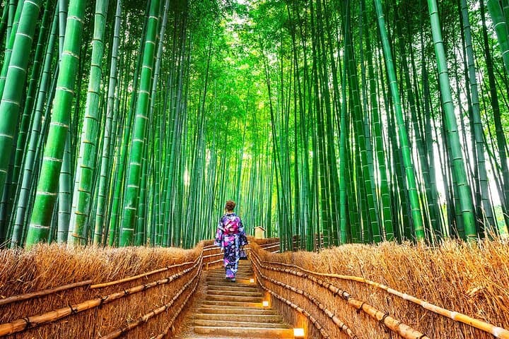 Kyoto Day Tour Kifune Shrine, Sanzen-in, Arashiyama & Yuzen Korin — photo 16