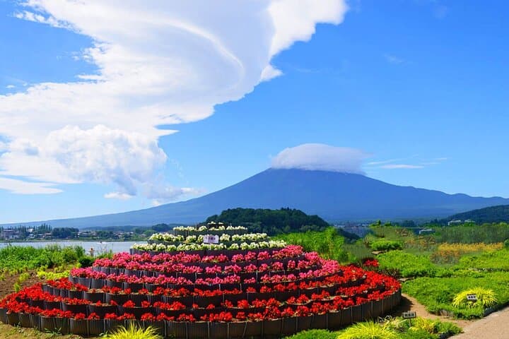 Mt. Fuji Scenic Day Tour Arakurayama Tendi Oshino and Kawaguchiko — photo 11