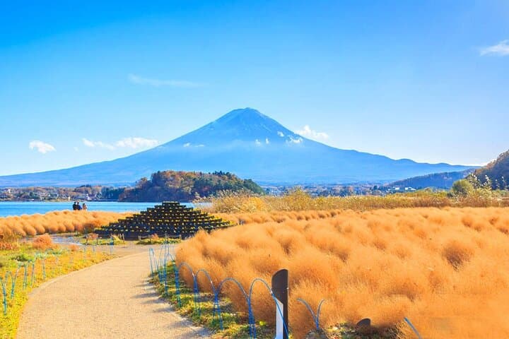 Mt. Fuji Scenic Day Tour Arakurayama Tendi Oshino and Kawaguchiko — photo 13