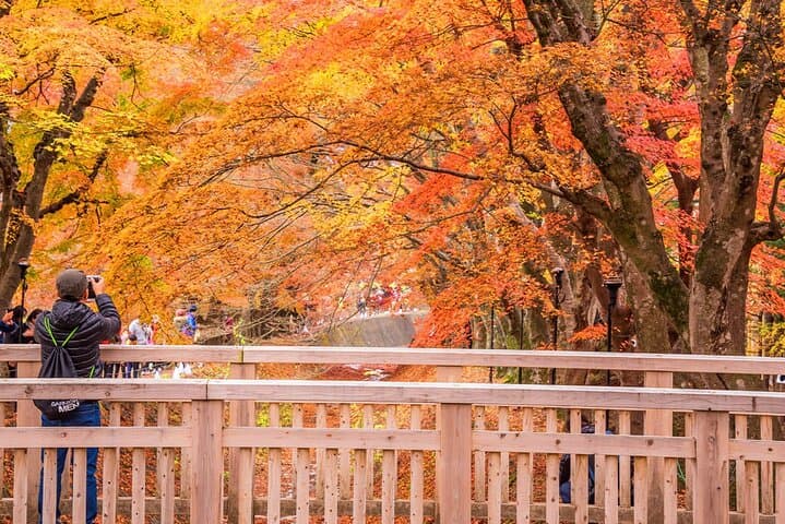 Mt. Fuji Scenic Day Tour Arakurayama Tendi Oshino and Kawaguchiko — photo 4