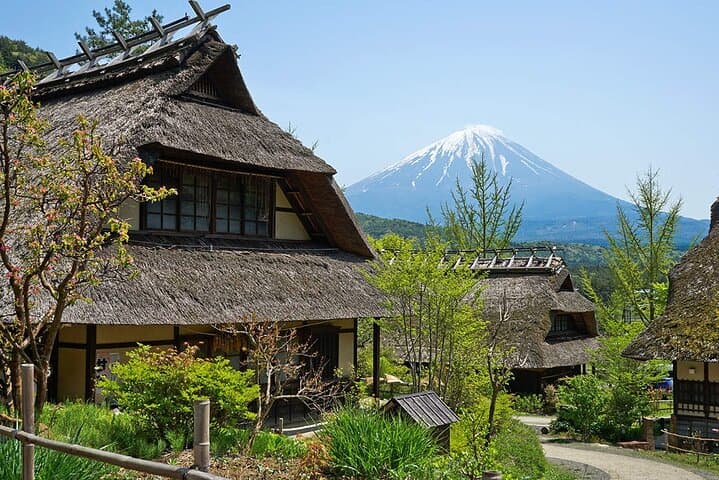 Mt. Fuji Scenic Day Tour Arakurayama Tendi Oshino and Kawaguchiko — photo 10