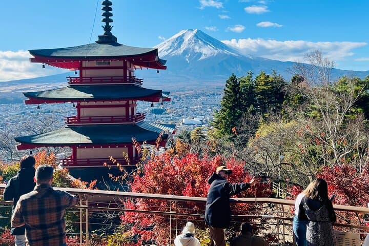 From Tokyo: Mount Fuji Private Trip with English Speaking Driver — photo 1