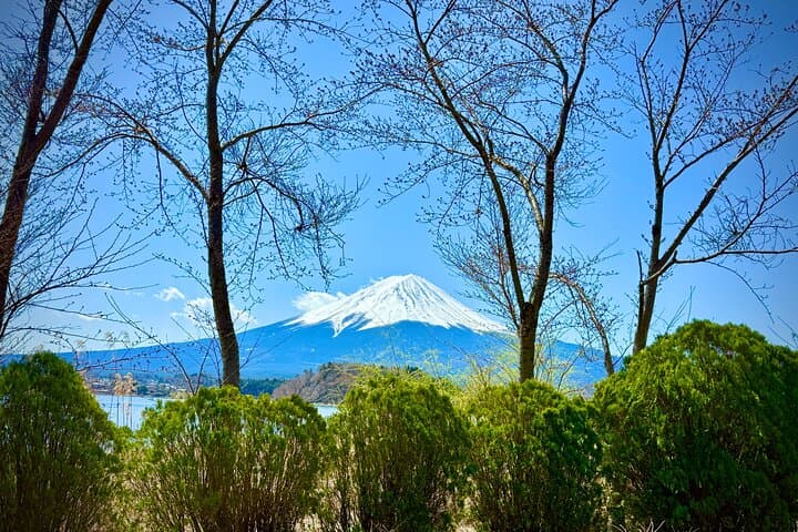 From Tokyo: Mount Fuji Private Trip with English Speaking Driver — photo 2