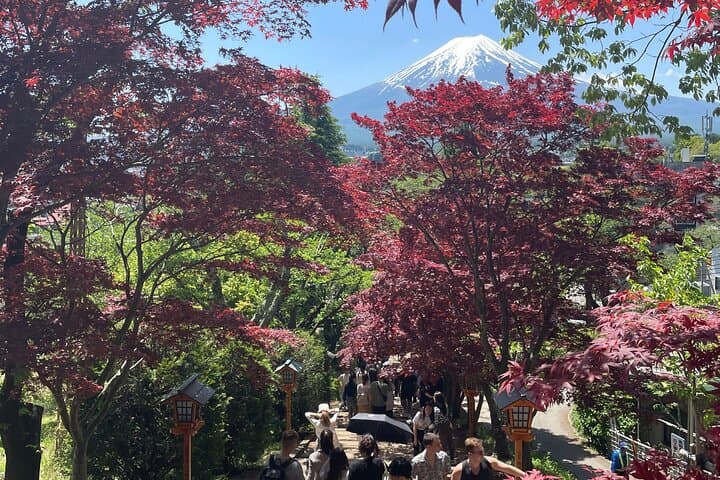 From Tokyo: Mount Fuji Private Trip with English Speaking Driver — photo 6