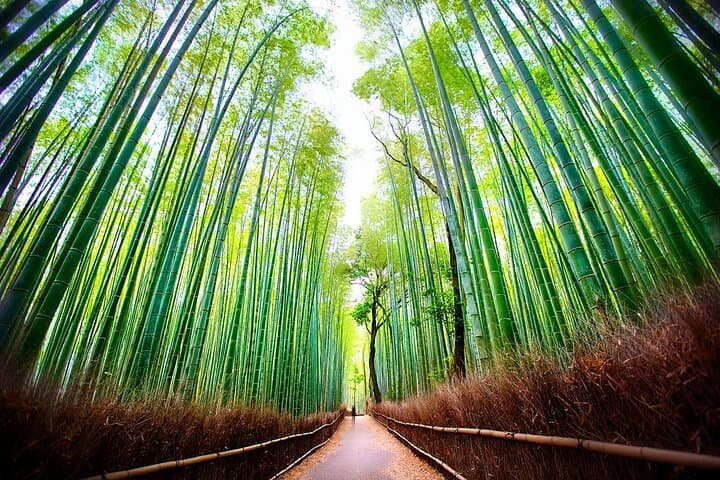 Kyoto Self-Guided Audio Experience — photo 2