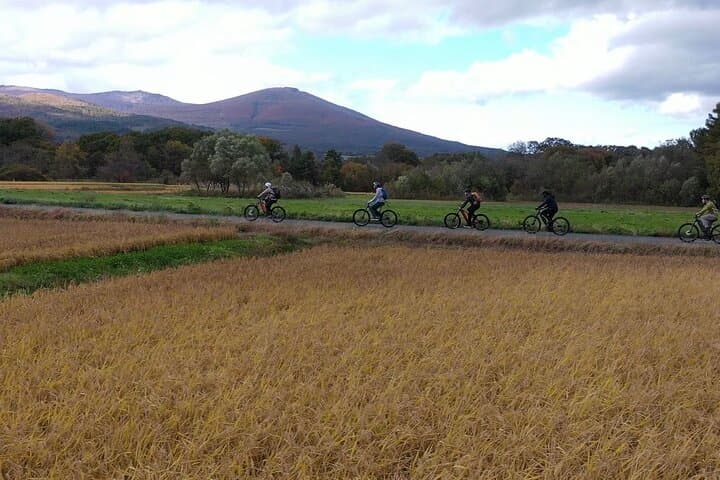 Mt. Iwate Panorama Cycling Tour: Culture and Scenic Views — photo 6