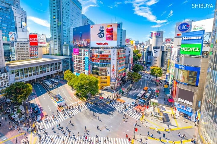 Anywhere you like! Tokyo Customized Tour in 3 hours — photo 4