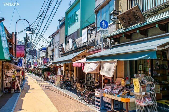 Anywhere you like! Tokyo Customized Tour in 3 hours — photo 2