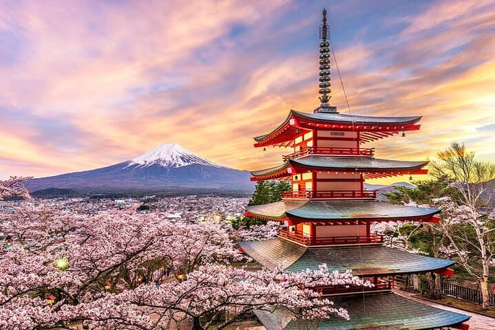 Kawaguchiko & Mt. Fuji Day Tour: Seasonal Flower with Kusa Mochi