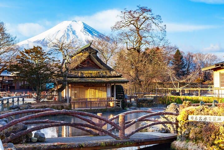 Kawaguchiko & Mt. Fuji Day Tour: Seasonal Flower with Kusa Mochi — photo 7