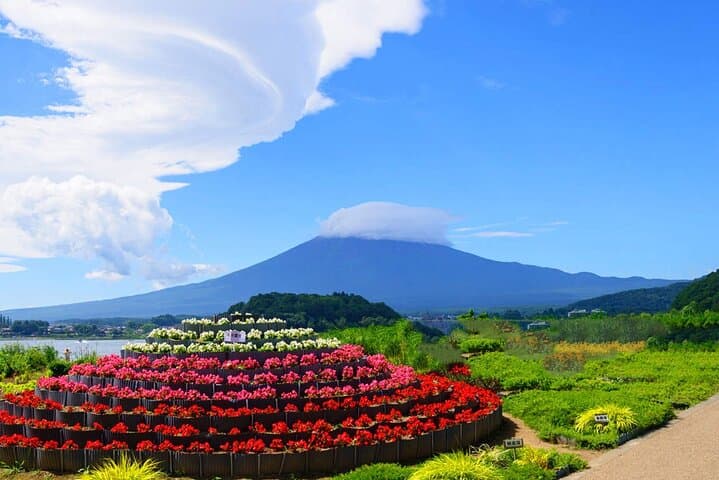 Kawaguchiko & Mt. Fuji Day Tour: Seasonal Flower with Kusa Mochi — photo 8