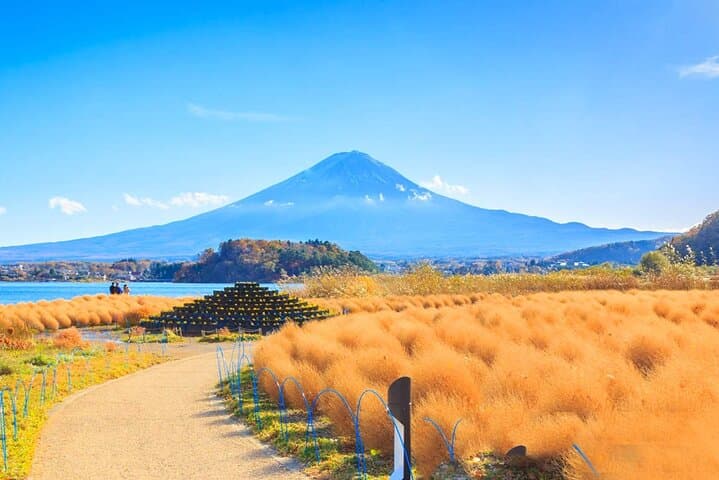 Kawaguchiko & Mt. Fuji Day Tour: Seasonal Flower with Kusa Mochi — photo 9