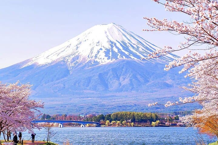 Kawaguchiko & Mt. Fuji Day Tour: Seasonal Flower with Kusa Mochi — photo 4