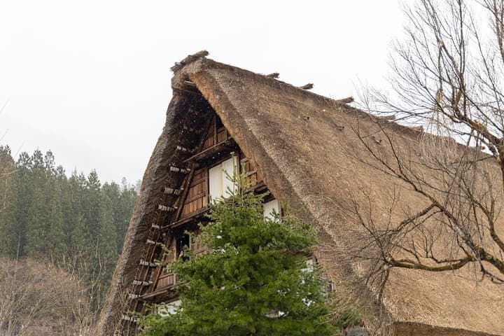 ENGLISH SPEAKING Private Full Day Tour Shirakawago/ Takayama — photo 13