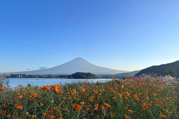 Lake Kawaguchi : Private Half Day Customized Tour w/ local guide — photo 9