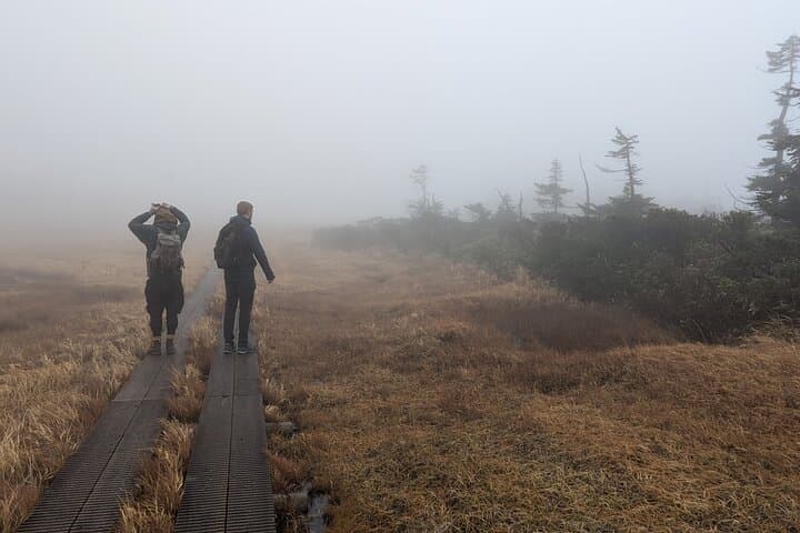 Volcanic Wonders & Scenic Trails — photo 8